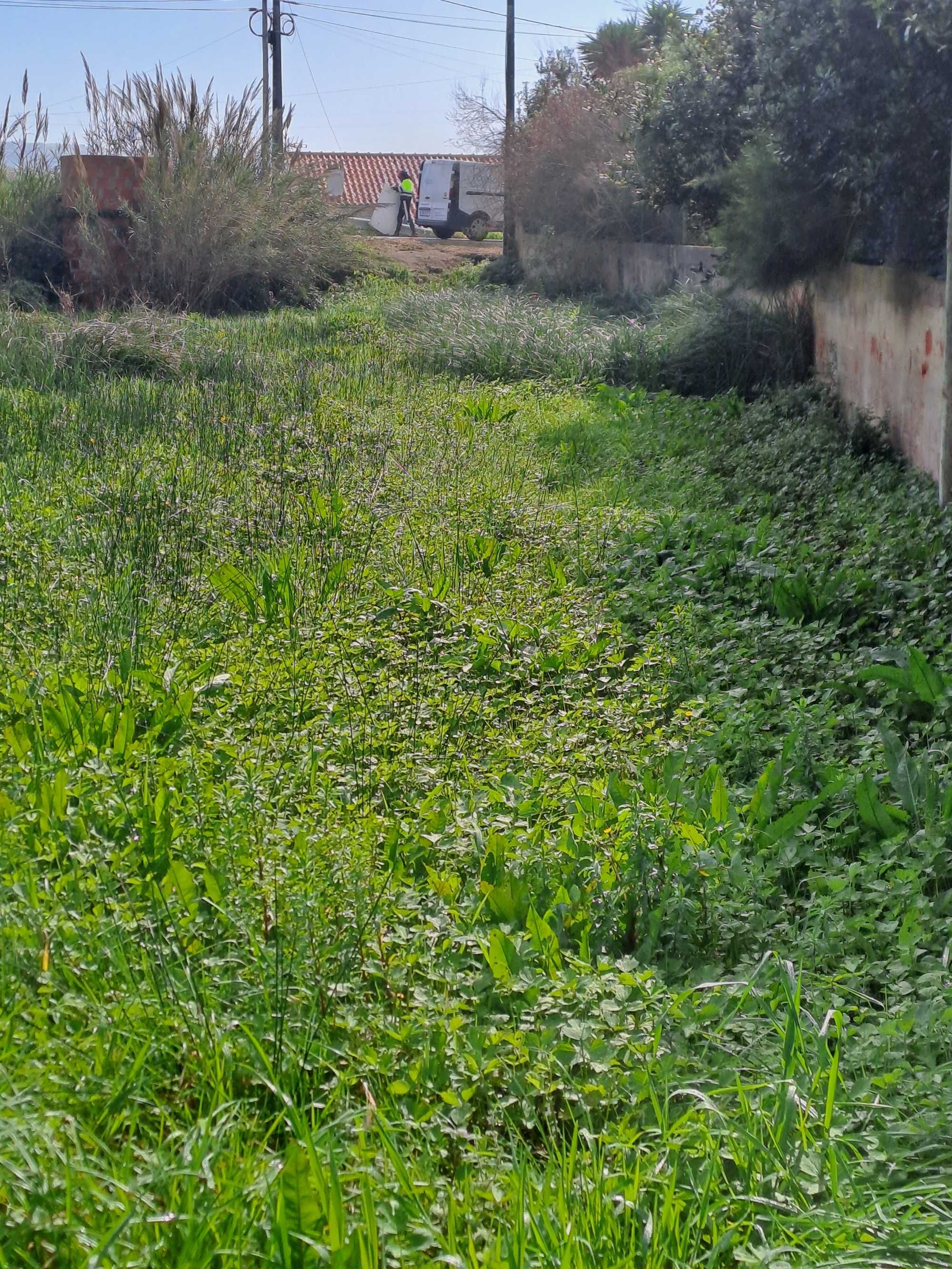 Terreno urbano situado na Serra dos Mangues, de S. Martinho do Porto