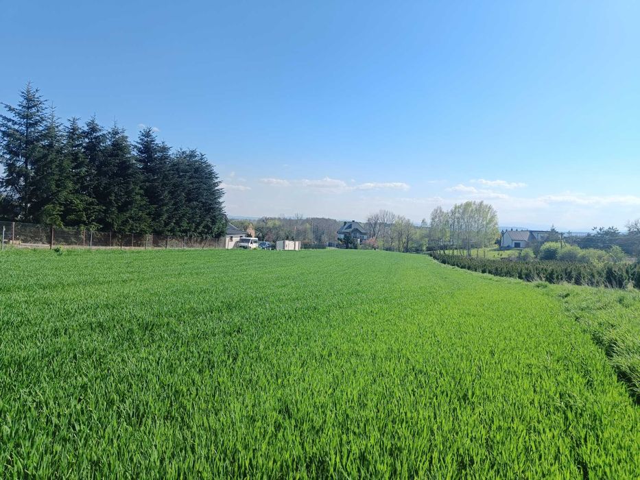 Piękna działka budowlana na sprzedaż 60 ar Dąbrowa Szlachecka - Wyźrał