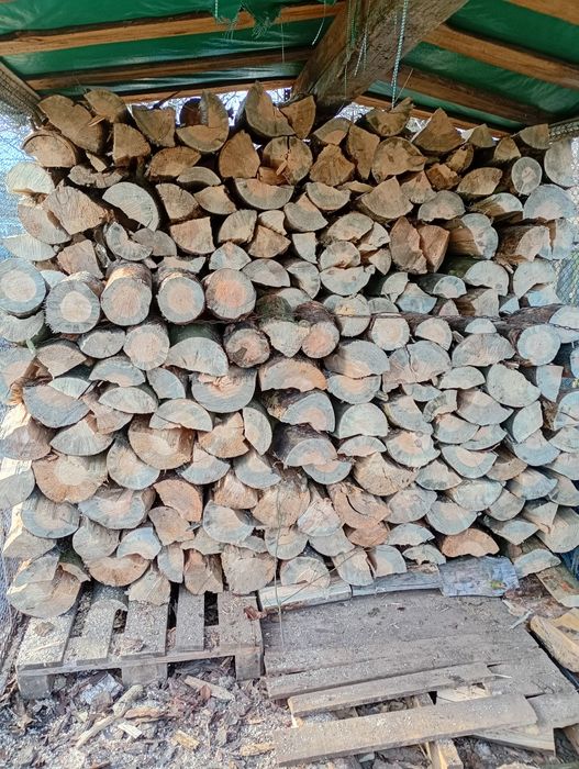 Drewno opałowe sosna