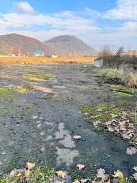 Земельна ділянка 0,0904 га вул. Ужгородська