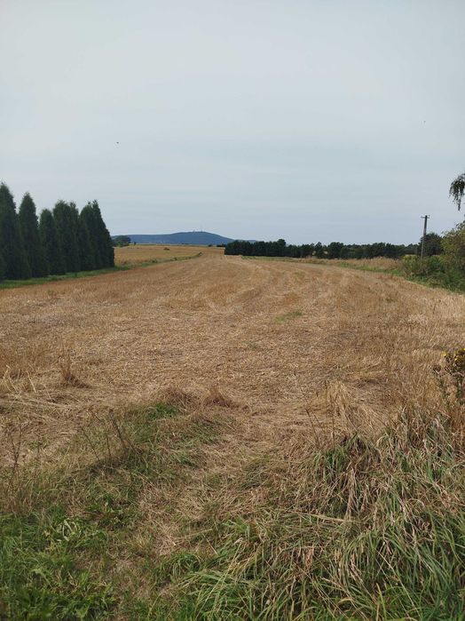 Rolno - budowlana, 1,2ha przelicz./9500 m, I i II klasa