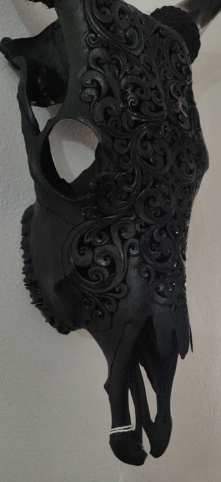 Crânio de vaca - Bali (Indonésia)