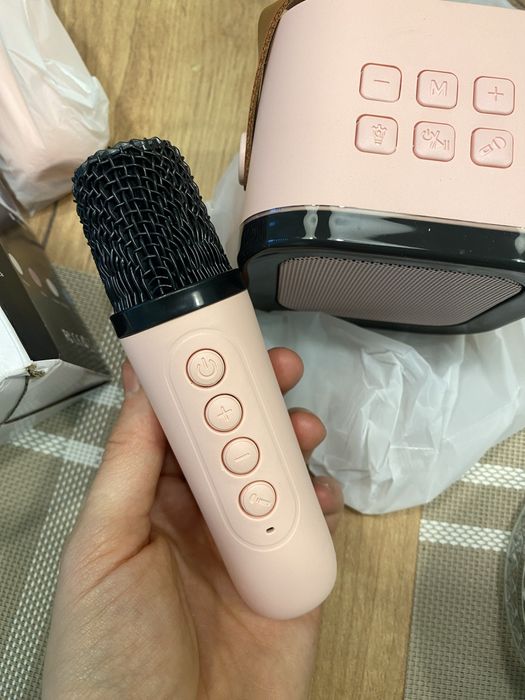 Нова Колонка з 2 мікрофонами