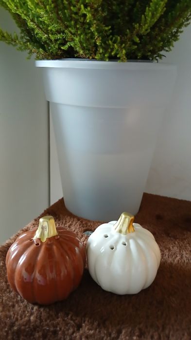 Solniczka I pieprzniczka