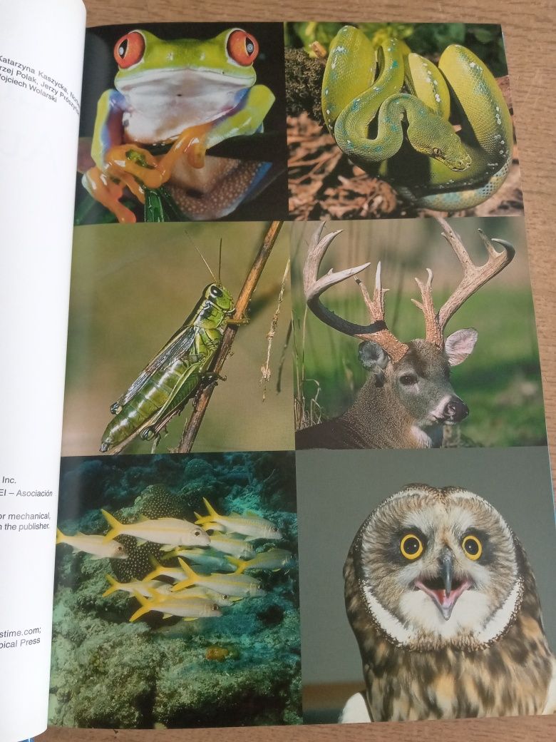 Encyklopedia Audiowizualna Britannica