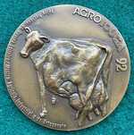 Medalha comemorativa em bronze