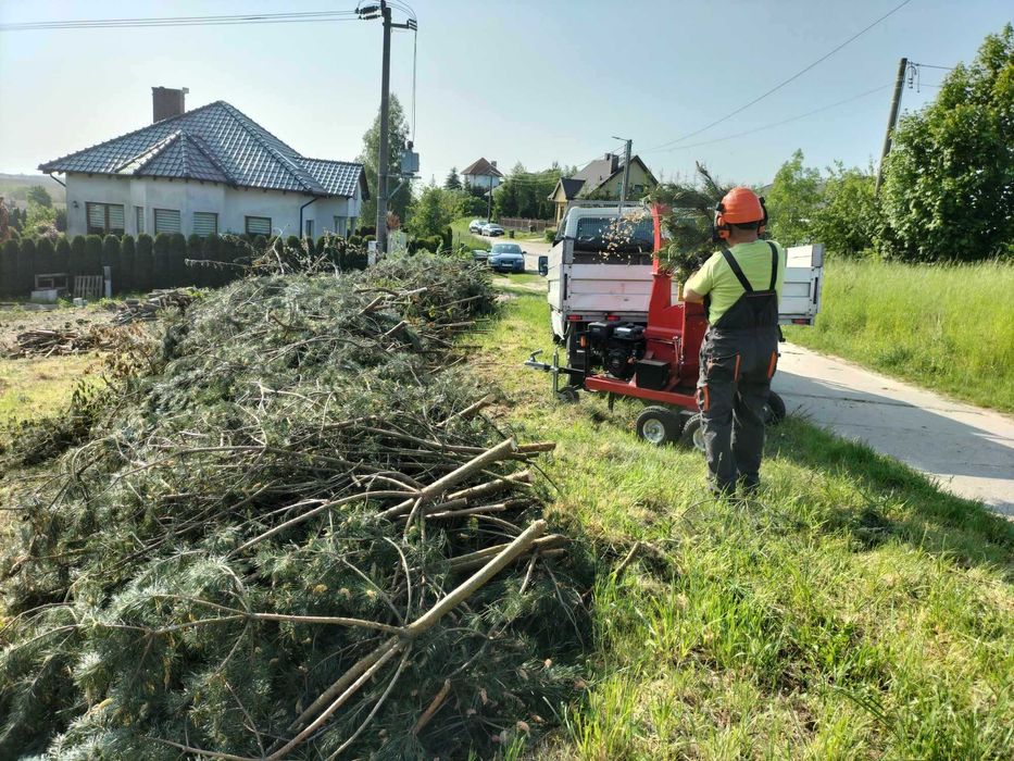 Usługa rębakiem / Wycinka średnich drzew / Oczyszczanie działek/rębak