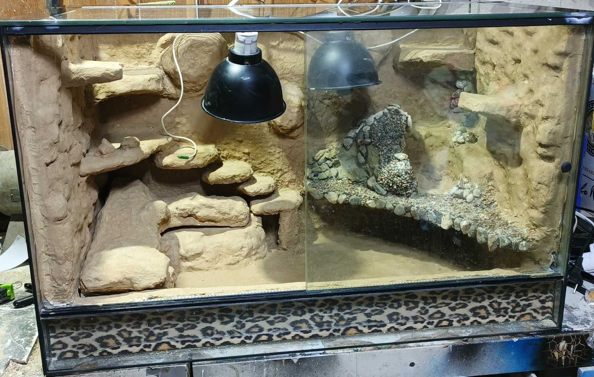 Terrarium wyposażone