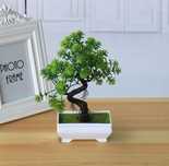 Drzewko Bonsai dekoracja