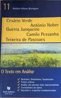 O Texto em Análise: Realismo, Simbolismo, Saudosismo