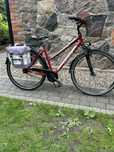 Rower trekkingowy Kreidler Raise
