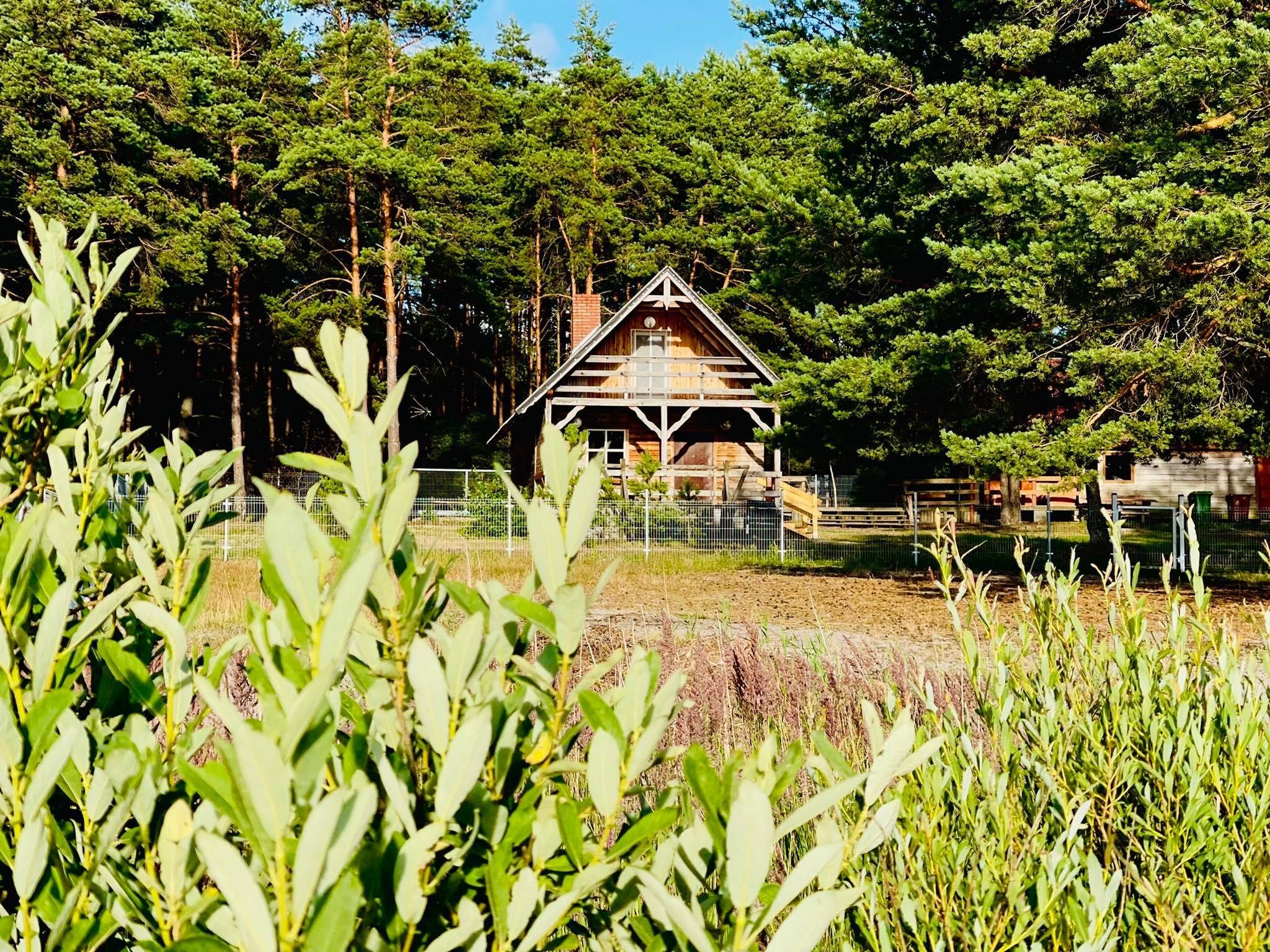 Wynajmę domek letniskowy w Konarzynach, jezioro Drzęczno