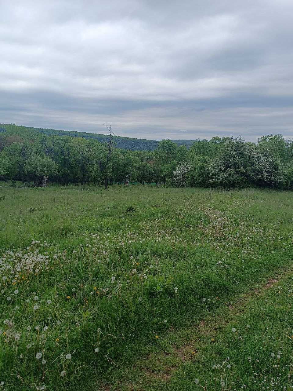 Земельна ділянка
