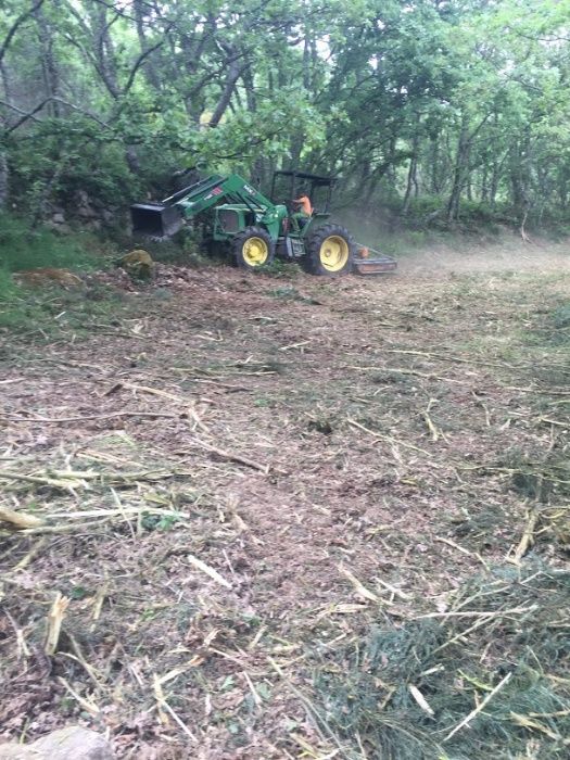 Desmatação e limpeza de floresta, matas, terrenos e árvores