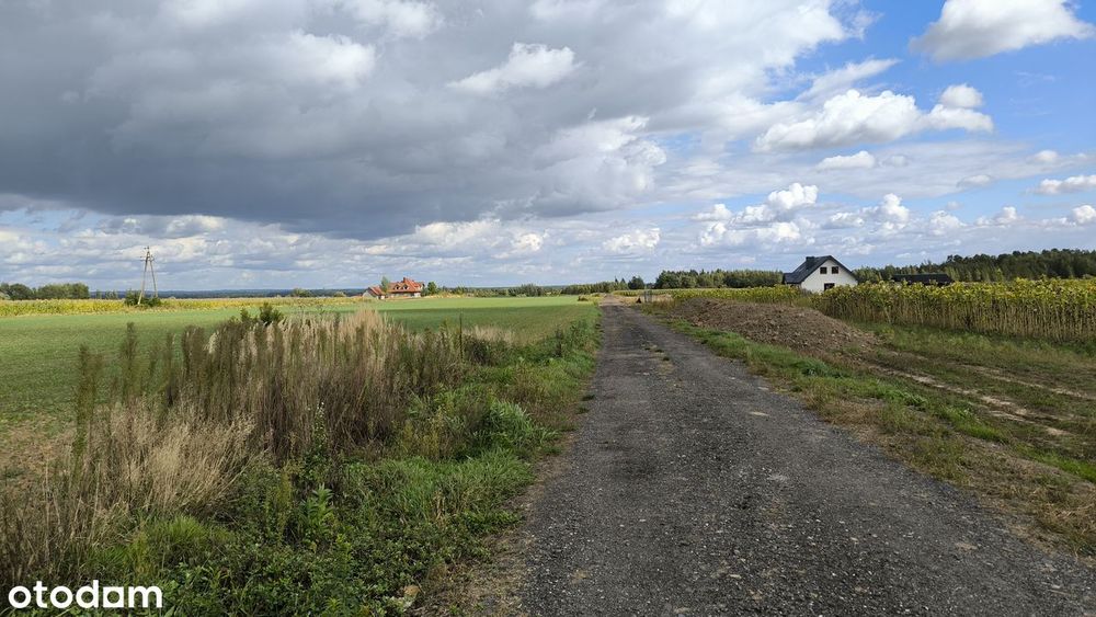 Twój dom przy lesie – 1000 m² w Brzezinie, 5 min Leśnica, 0% prowizji