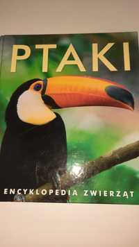 Książka Encyklopedia zwierząt PTAKI