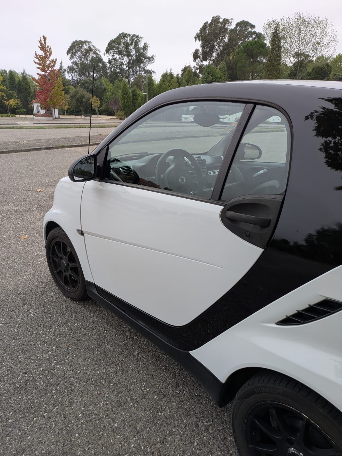 Smart Fortwo 2012 Diesel - Económico, Cuidado e Pronto a Circular