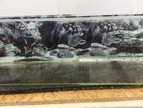 Akwarium 100x25x26