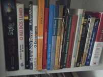 VENDIDOS EM SEPARADO - Livros Baratos - Entrega IMEDIATA - Lote 22 PS