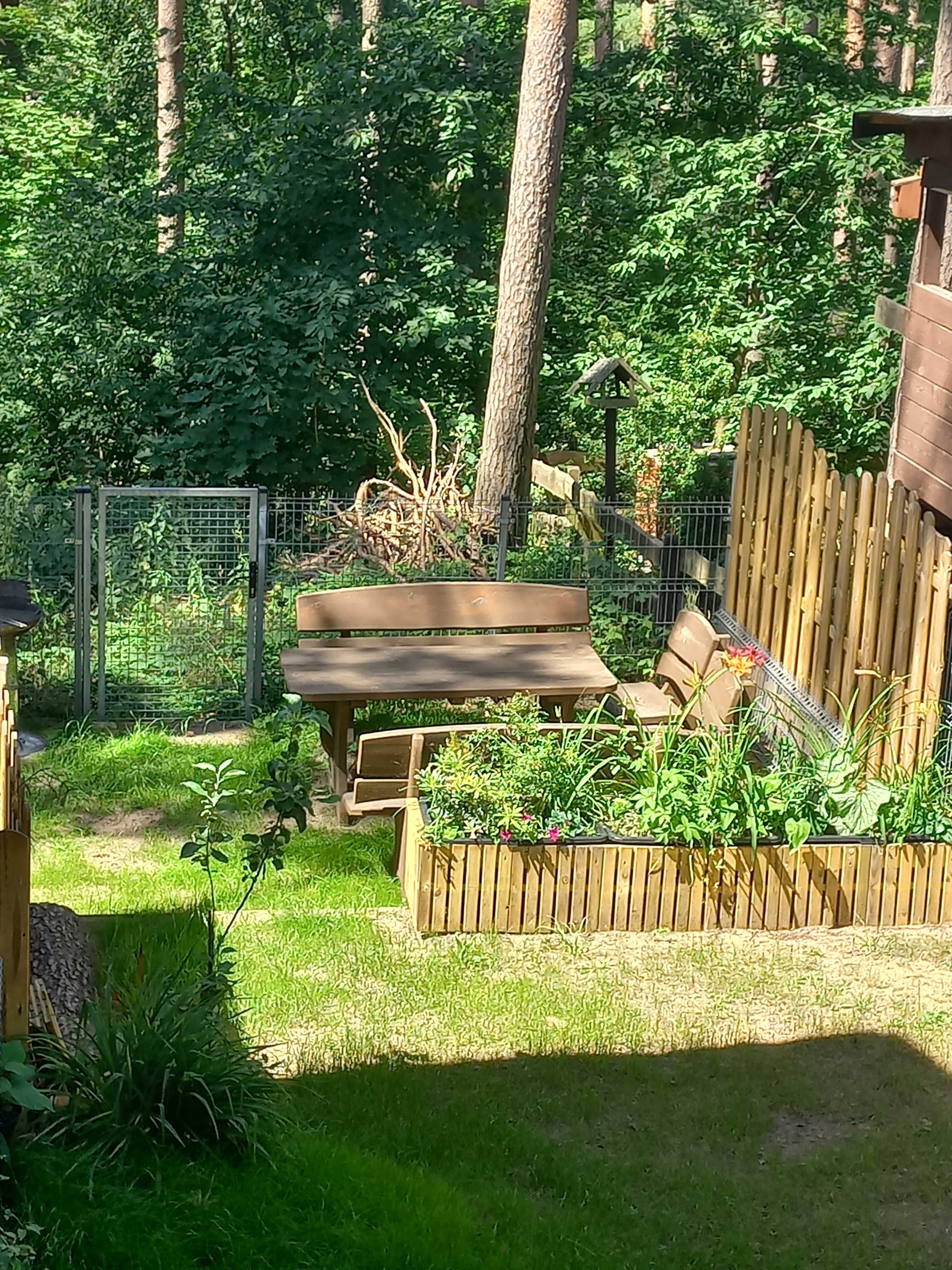 Domek w lesie   nad  jeziorem Lipie -Długie -2 osobne apartamenty
