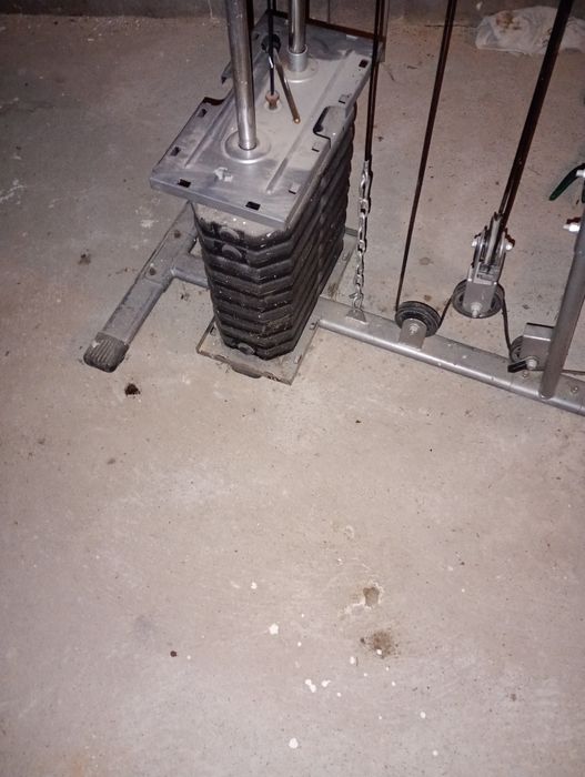 Atlas treningowy Body sculpture