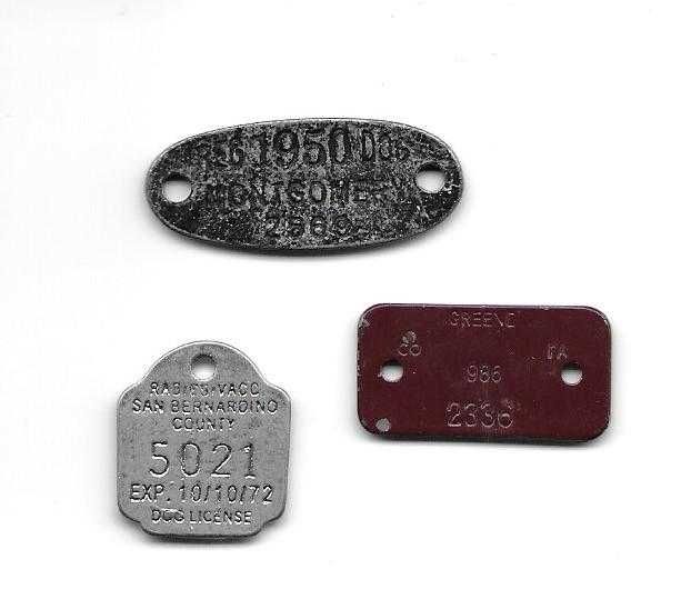 3 identyfikatory dla psa