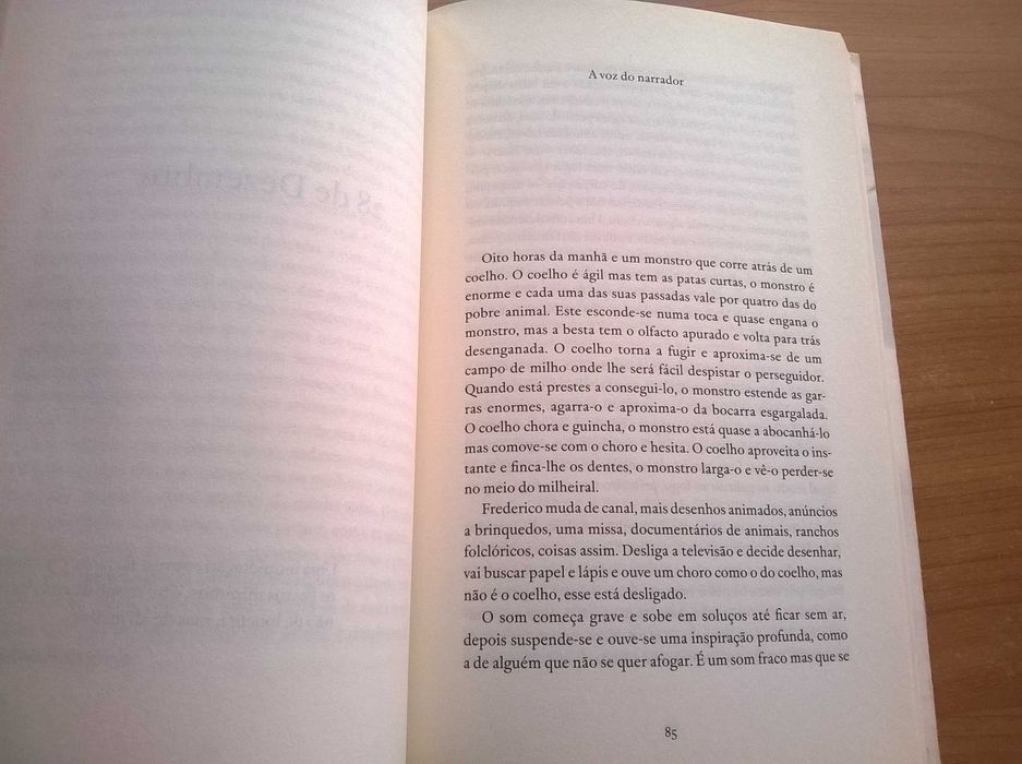 Debaixo de Algum Céu - Nuno Camarneiro