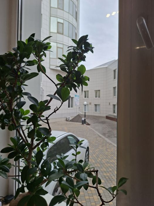 Коммерция офис Говорова Гранд Парк Аркадия