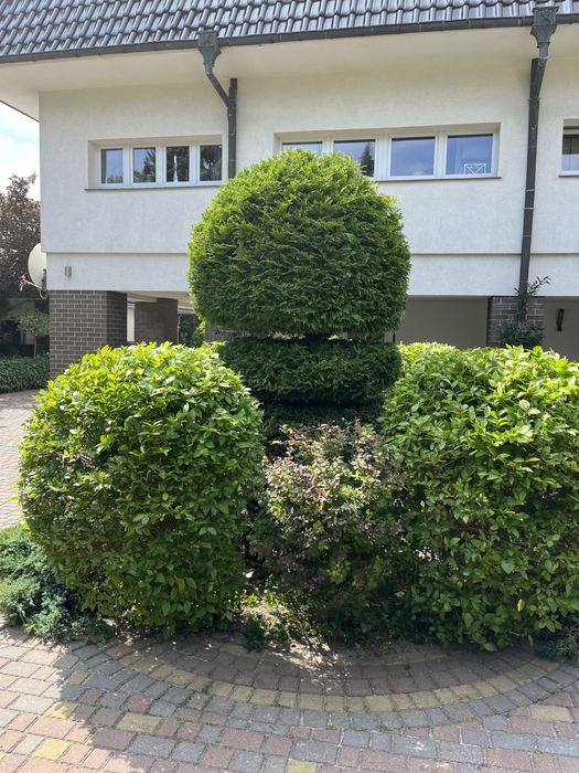Usługi Ogrodnicze Caregreen