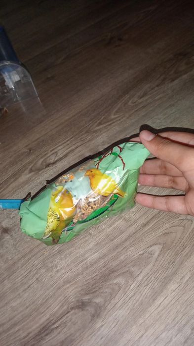 Viveiro+acessórios e comida