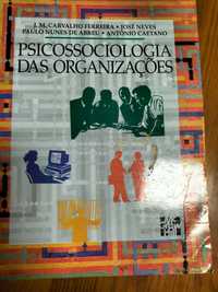 Psicossociologia das organizações