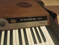 Organy elektryczne Tiger 61 ECO