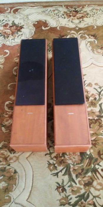 kolumny Tonsil Fenix 100W