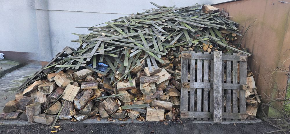 Drewno sosna na opał