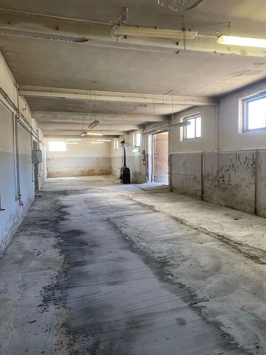 Hala/Magazyn o powierzchni  200 m²  z dużym parkingiem