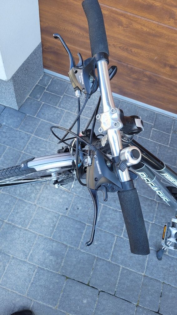 Rower Pegasus Premio SL