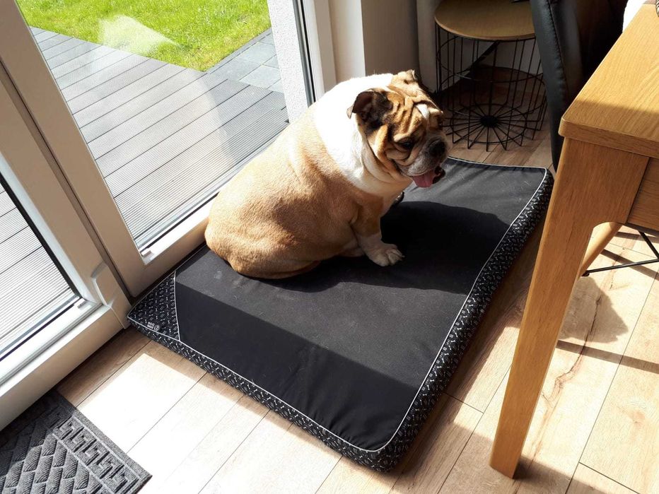 Wynajem domku Pine House Ostrowo -Jastrzębia Góra