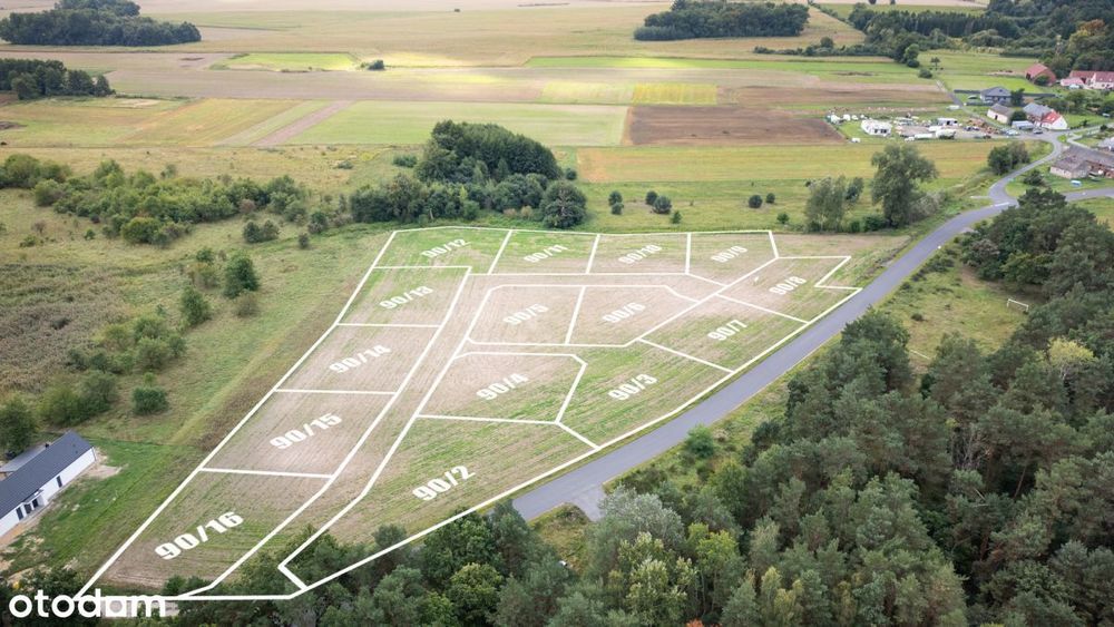 15 działek budowlanych z WZ-Drwalewice, przy lesie