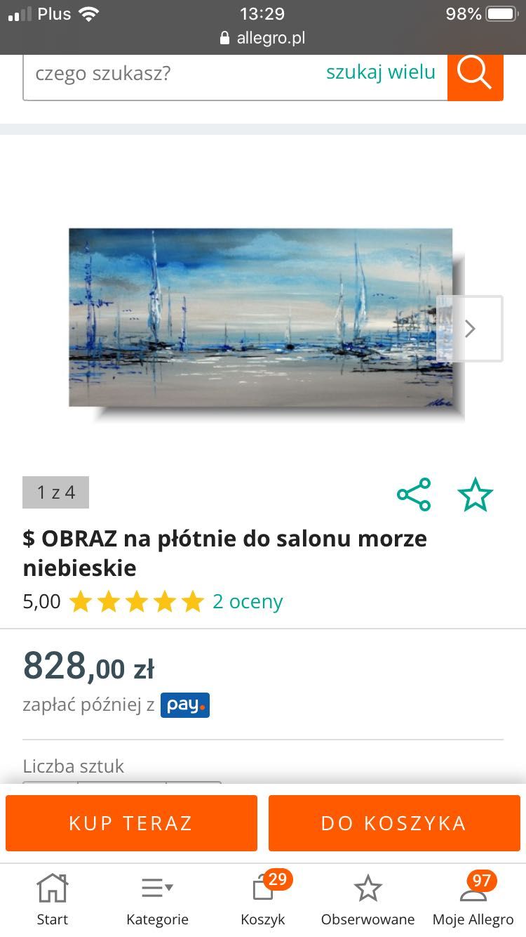 Obraz marinistyczny 100 x 50 cm