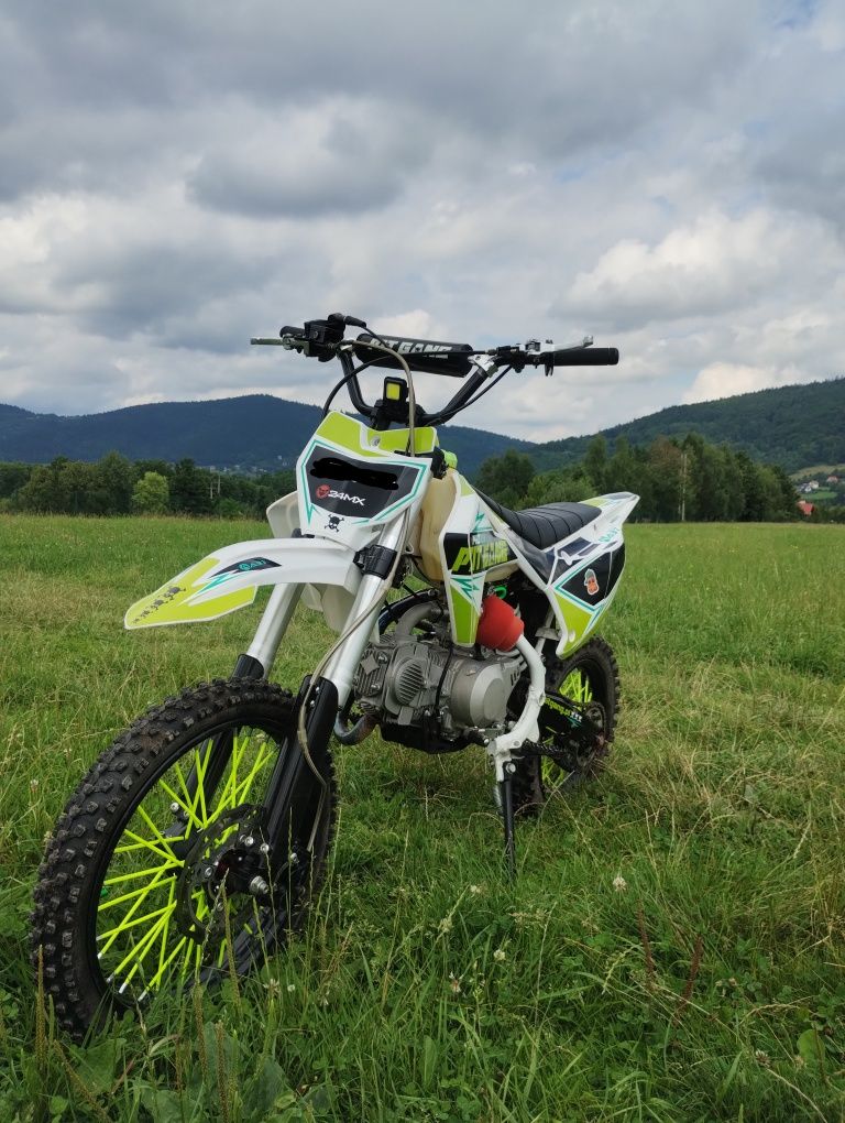 Pit gang 140cc xd
