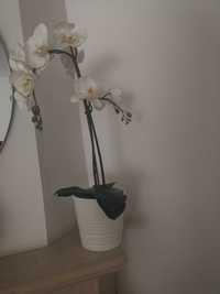Orquídea + Vaso Ikea