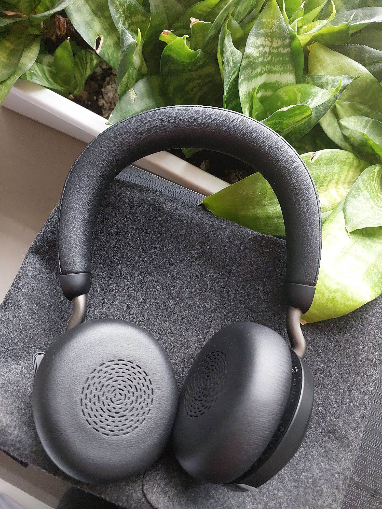 Навушники Jabra Evolve 2 75 stereo USB-C BLACK