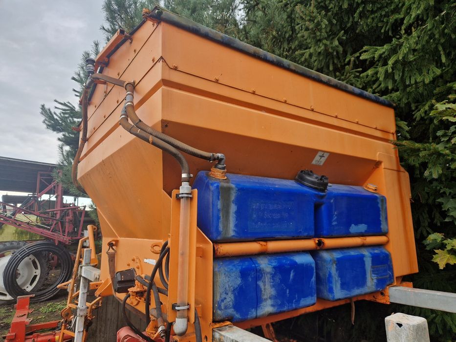 Piaskarko- solanka Schmidt