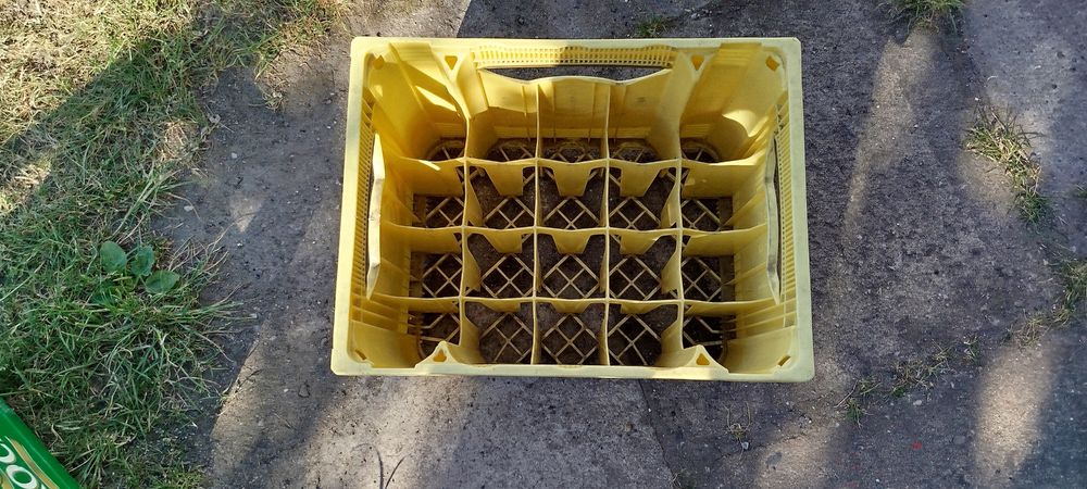 Skrzynka na piwa butelkowe Rybnik