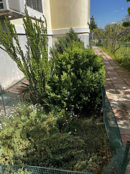 Продаю Дом в с. Калиновка