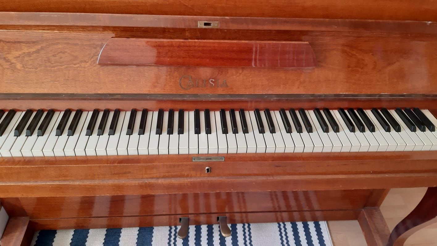 Pianino Calisia w dobre ręce