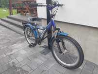 Rower Alpina r 20 cali