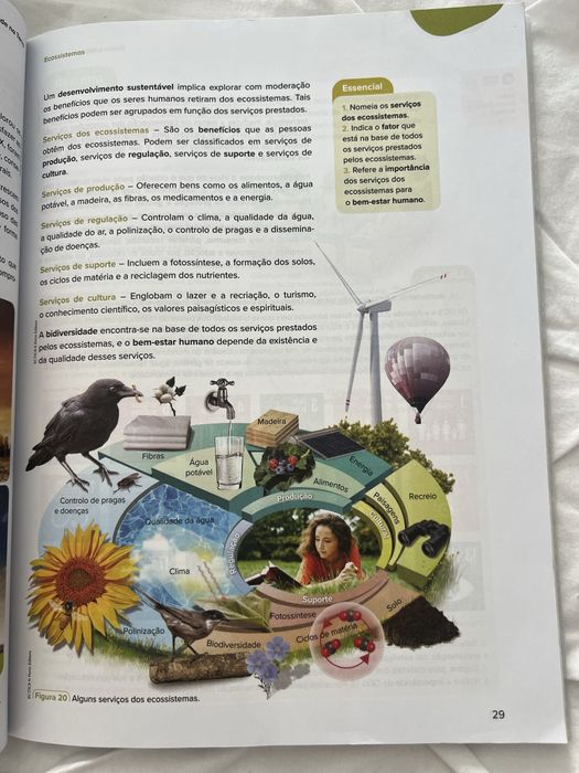 Eco cientic volumes I e II e caderno de atividades