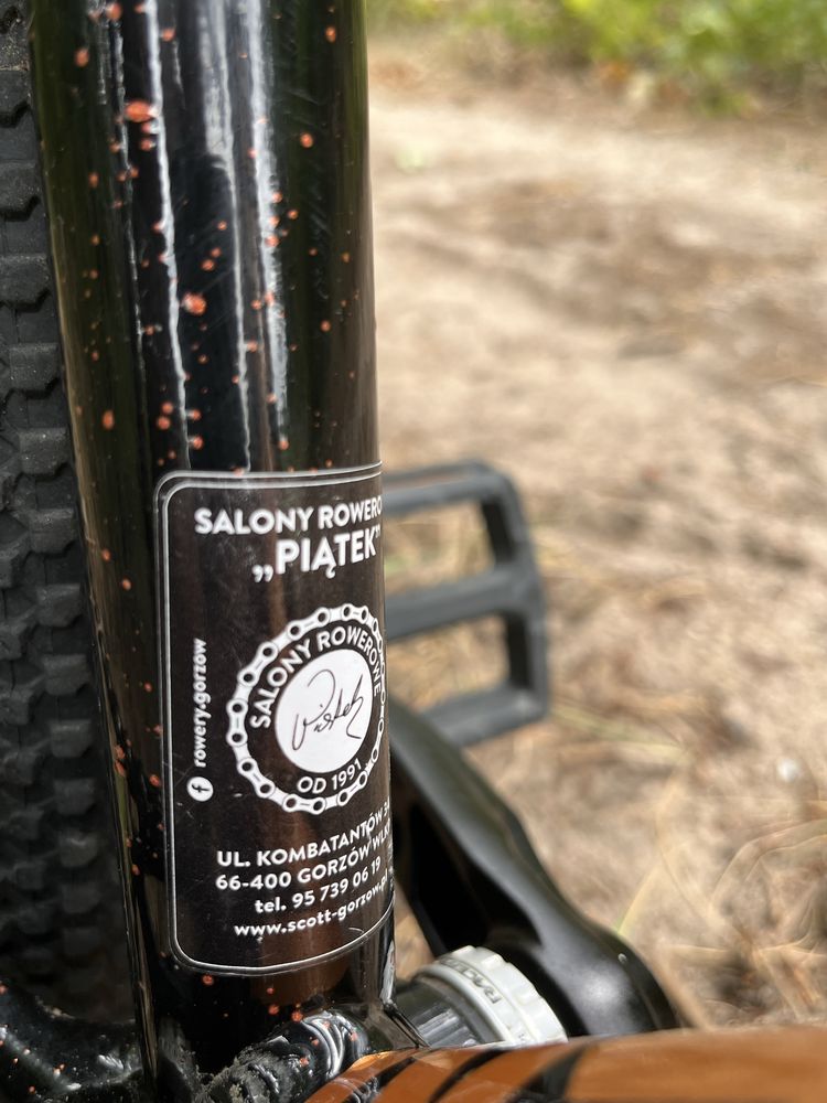 NS bike movement 3 2021r