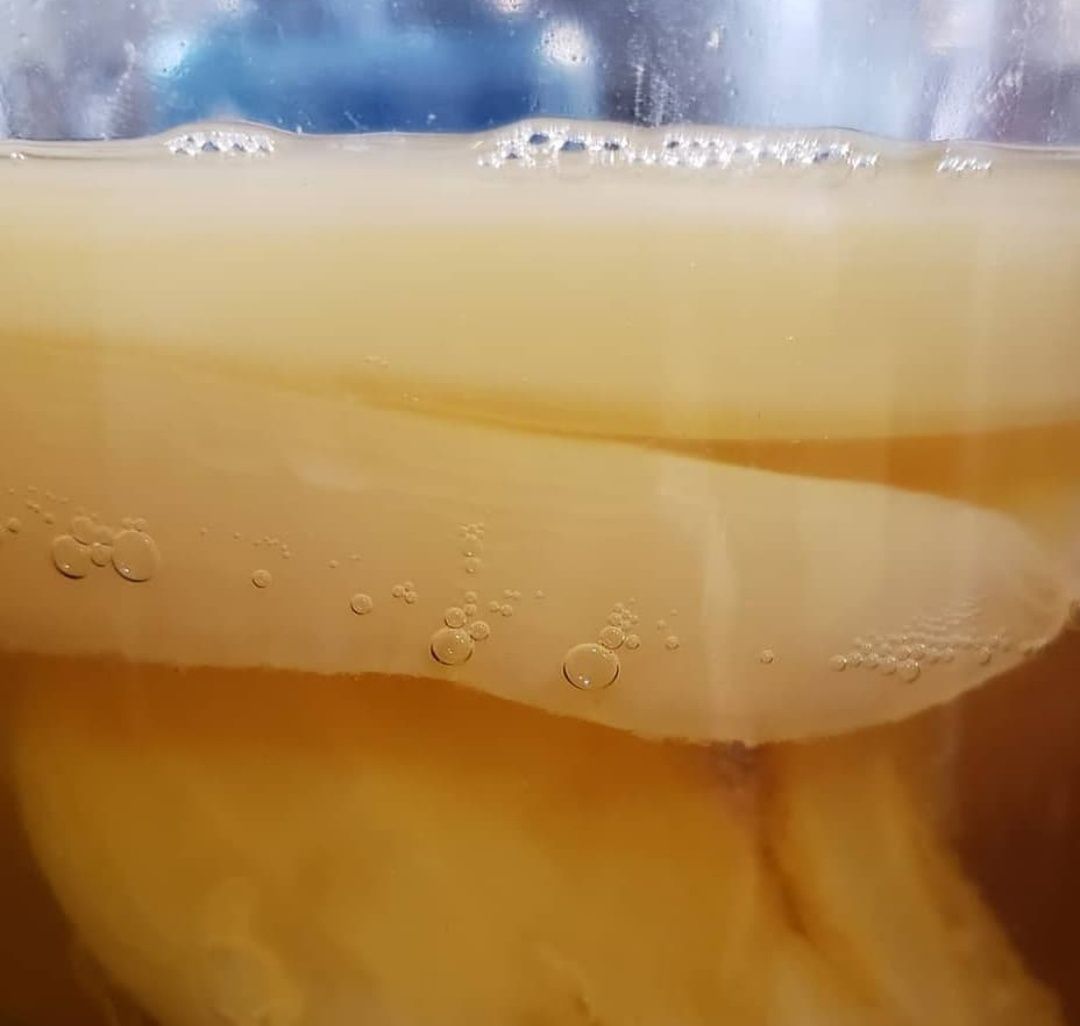 Kombucha com líquido starter (também envio por CTT)